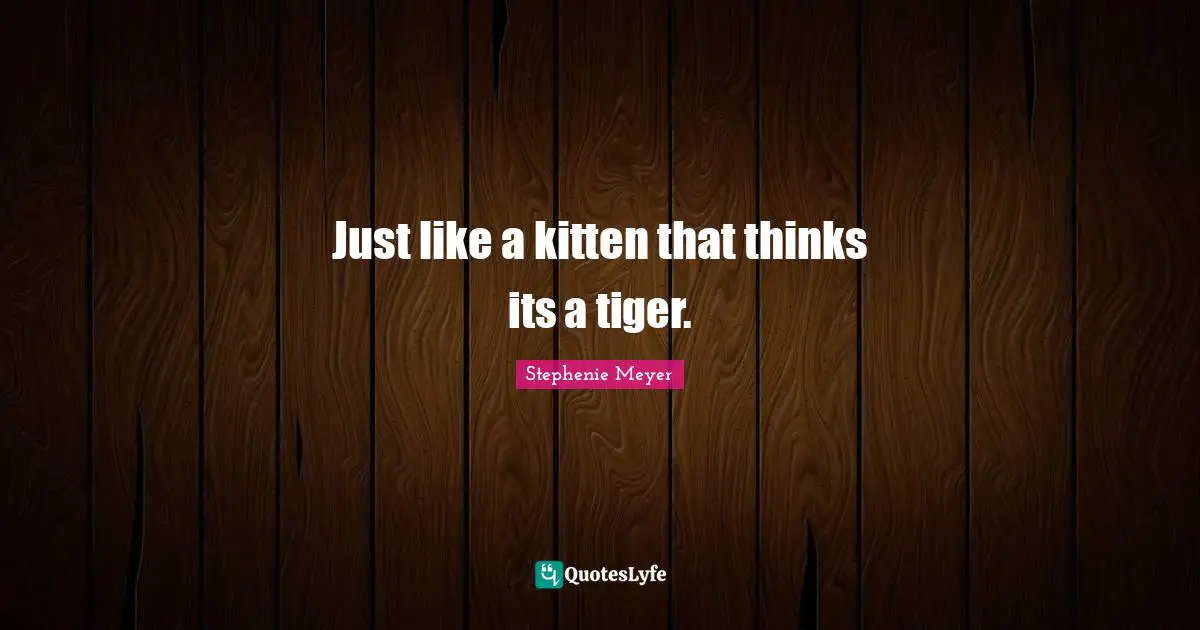 Just like a kitten that thinks its a tiger.