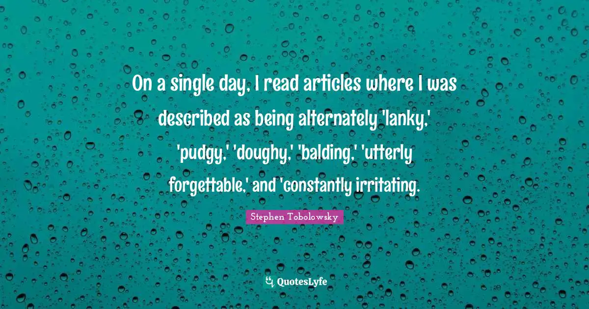 On a single day, I read articles where I was described as being alternately 'lanky,' 'pudgy,' 'doughy,' 'balding,' 'utterly forgettable,' and 'constantly irritating.