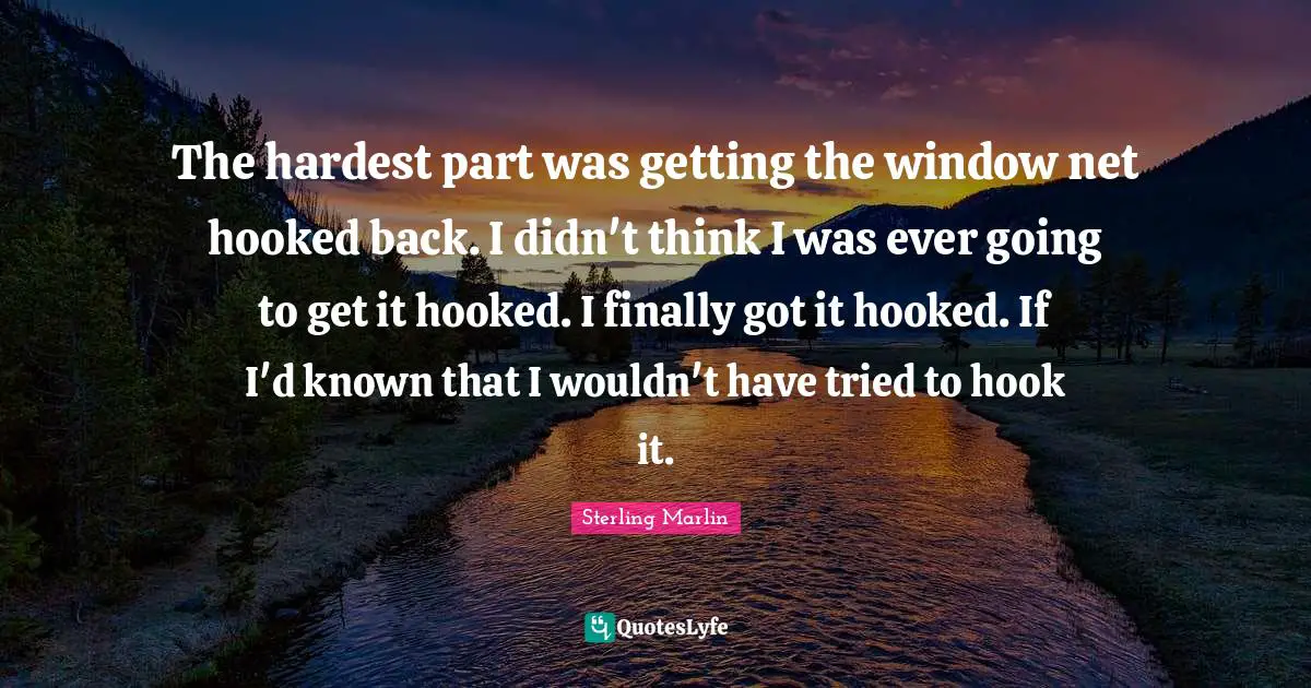 The hardest part was getting the window net hooked back. I didn't think I was ever going to get it hooked. I finally got it hooked. If I'd known that I wouldn't have tried to hook it.
