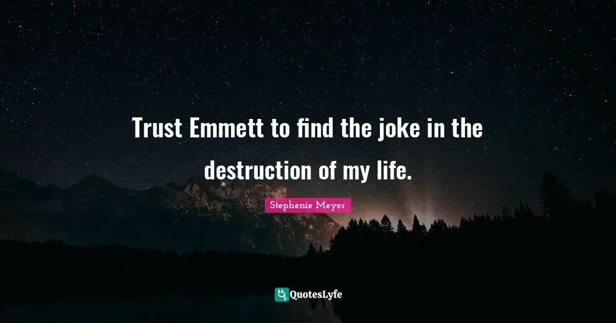 Trust Emmett to find the joke in the destruction of my life.