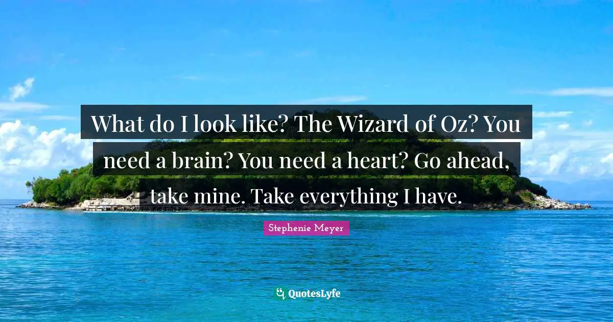 What do I look like? The Wizard of Oz? You need a brain? You need a heart? Go ahead, take mine. Take everything I have.