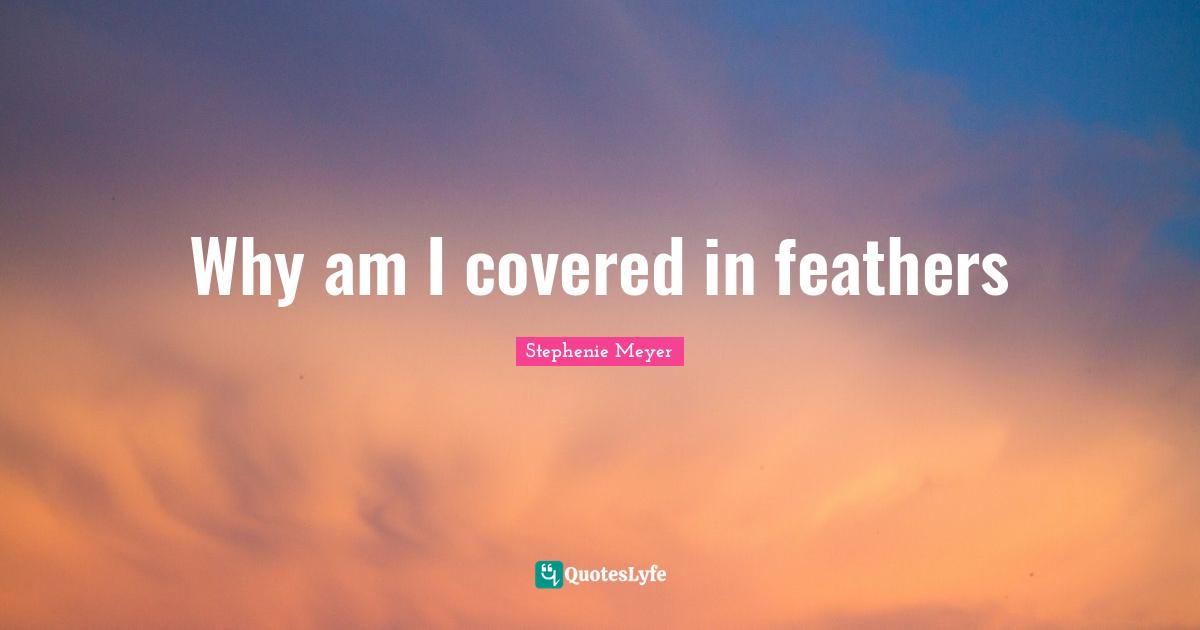 Stephenie Meyer Quotes: "Why am I covered in feathers"