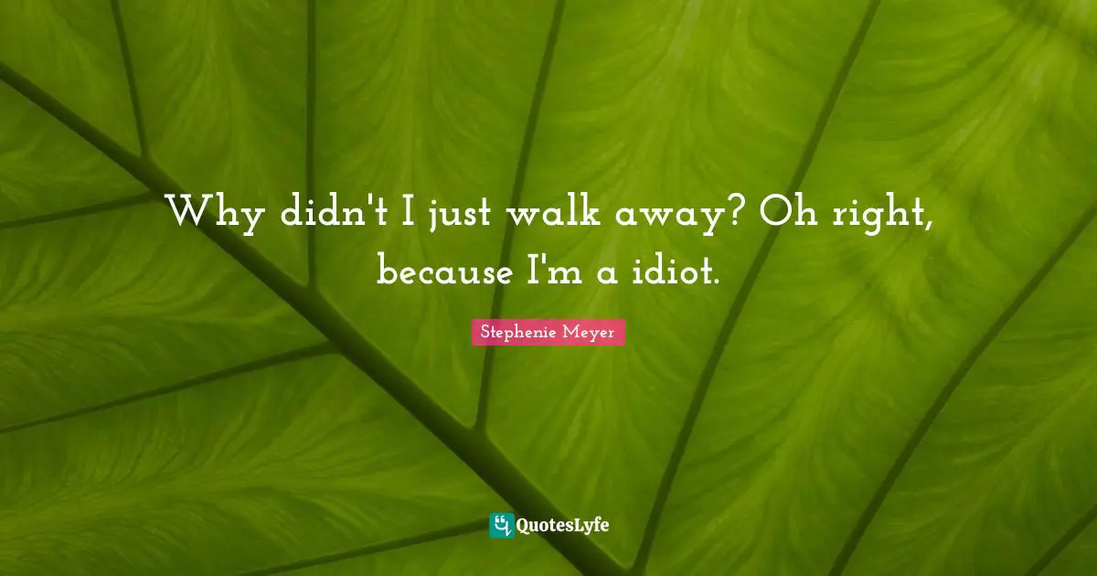 Why didn't I just walk away? Oh right, because I'm a idiot.