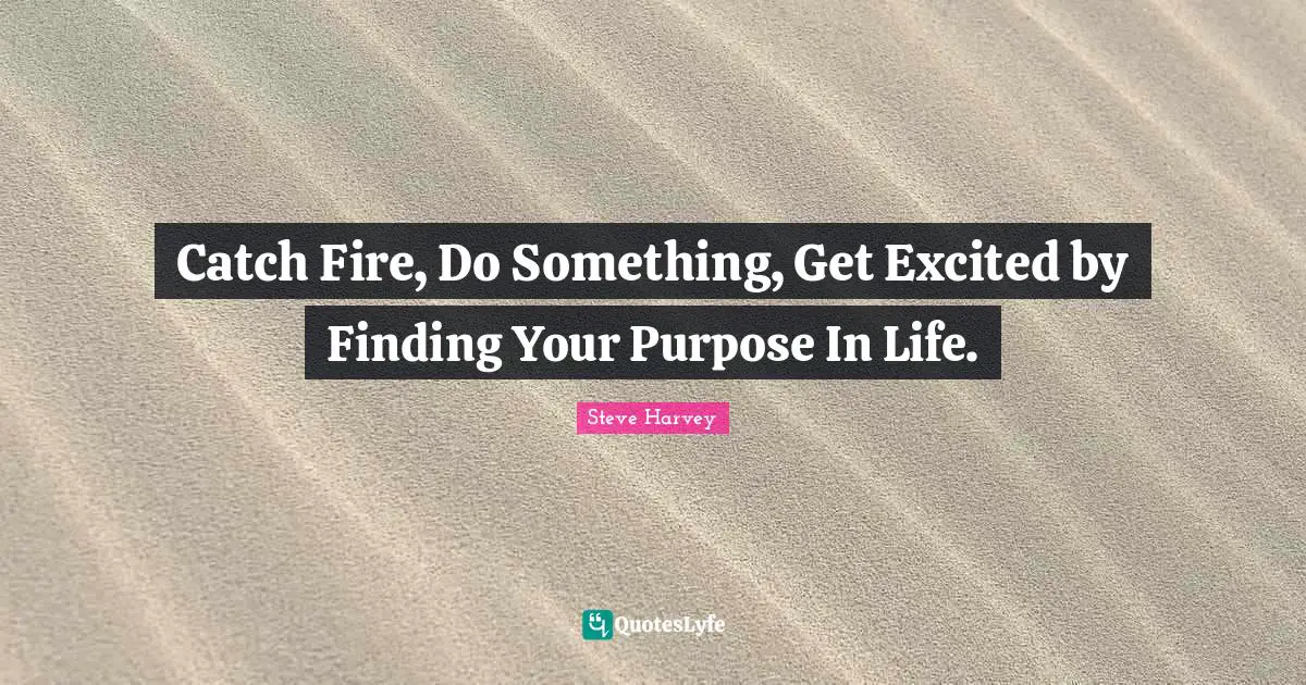 Steve Harvey Quotes: "Catch Fire, Do Something, Get Excited by Finding Your Purpose In Life."