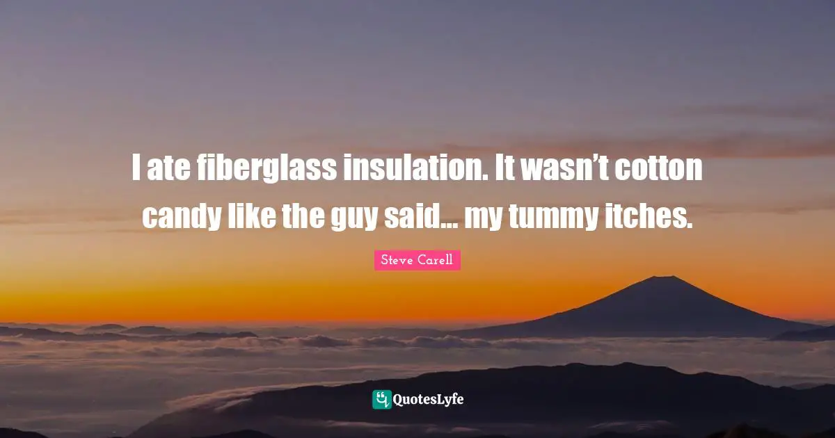 I ate fiberglass insulation. It wasn’t cotton candy like the guy said… my tummy itches.