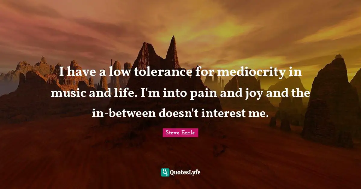 I have a low tolerance for mediocrity in music and life. I'm into pain and joy and the in-between doesn't interest me.