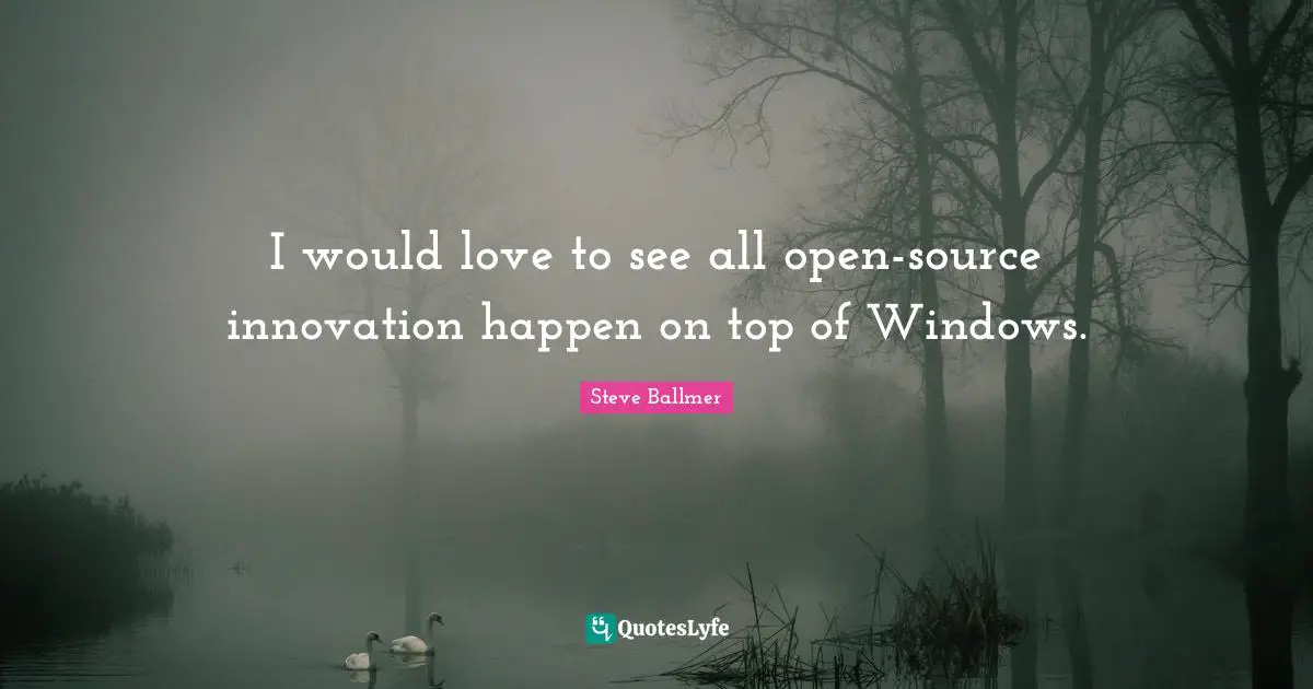 I would love to see all open-source innovation happen on top of Windows.