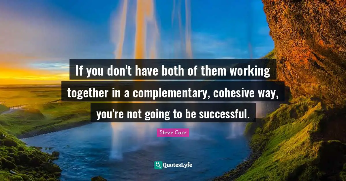 Steve Case Quotes: "If you don't have both of them working together in a complementary, cohesive way, you're not going to be successful."