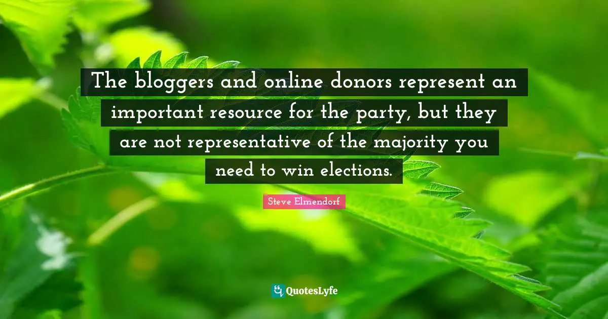 The bloggers and online donors represent an important resource for the party, but they are not representative of the majority you need to win elections.