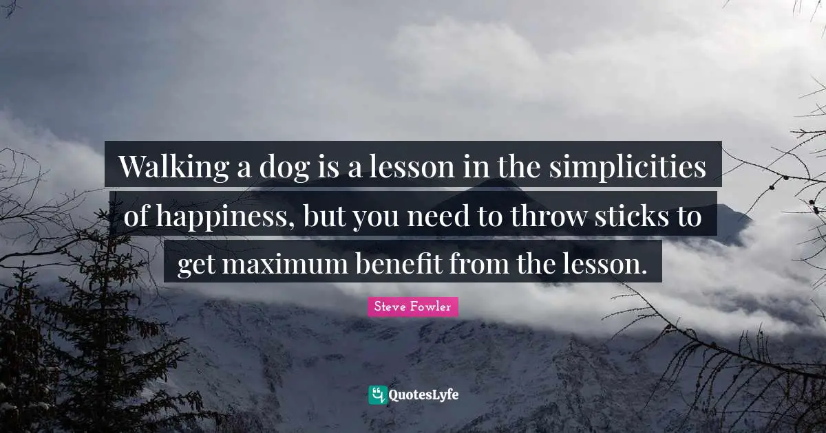 Walking a dog is a lesson in the simplicities of happiness, but you need to throw sticks to get maximum benefit from the lesson.