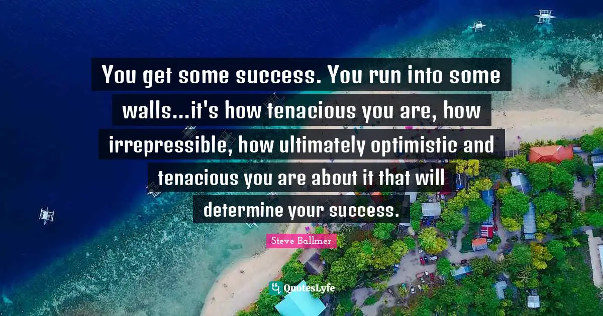 You get some success. You run into some walls...it's how tenacious you are, how irrepressible, how ultimately optimistic and tenacious you are about it that will determine your success.