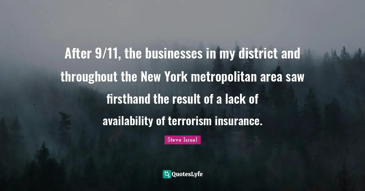 After 9/11, the businesses in my district and throughout the New York metropolitan area saw firsthand the result of a lack of availability of terrorism insurance.