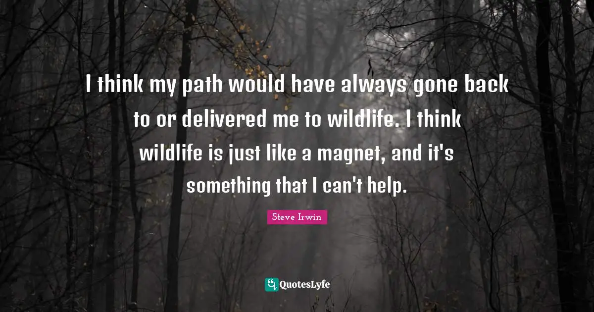 I think my path would have always gone back to or delivered me to wildlife. I think wildlife is just like a magnet, and it's something that I can't help.