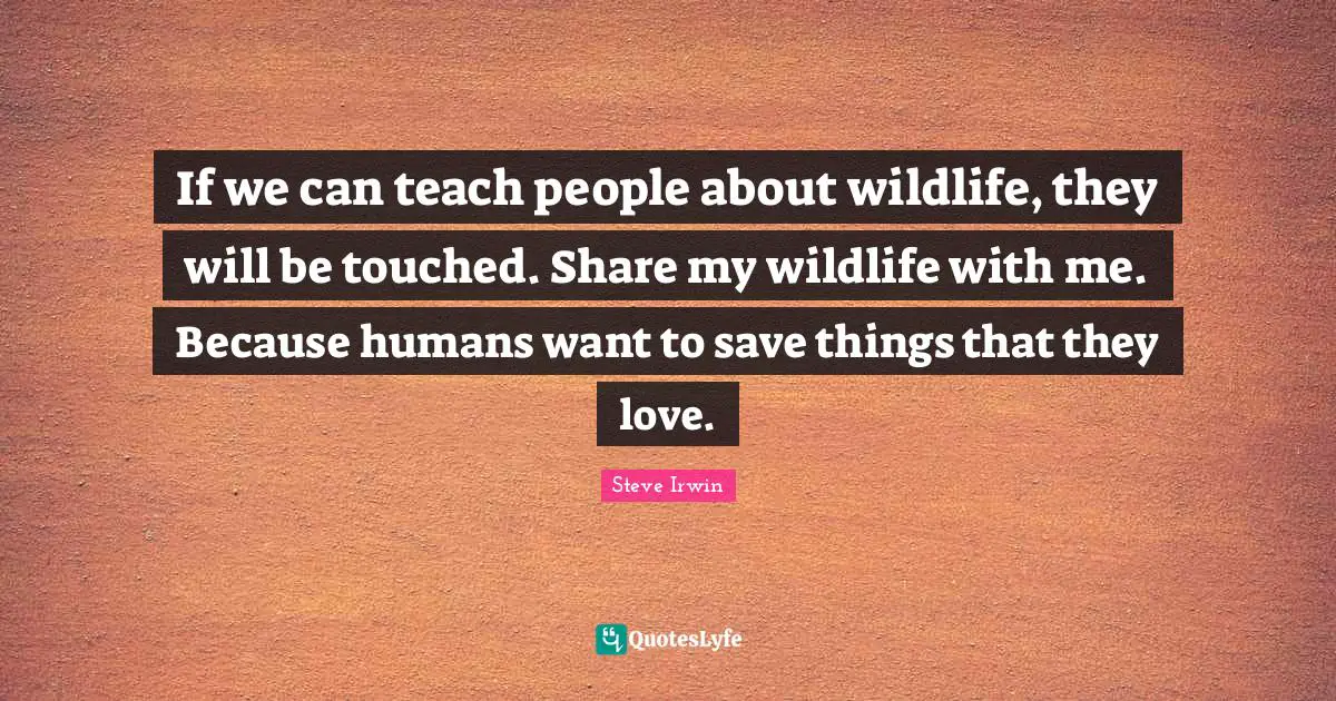 If we can teach people about wildlife, they will be touched. Share my wildlife with me. Because humans want to save things that they love.