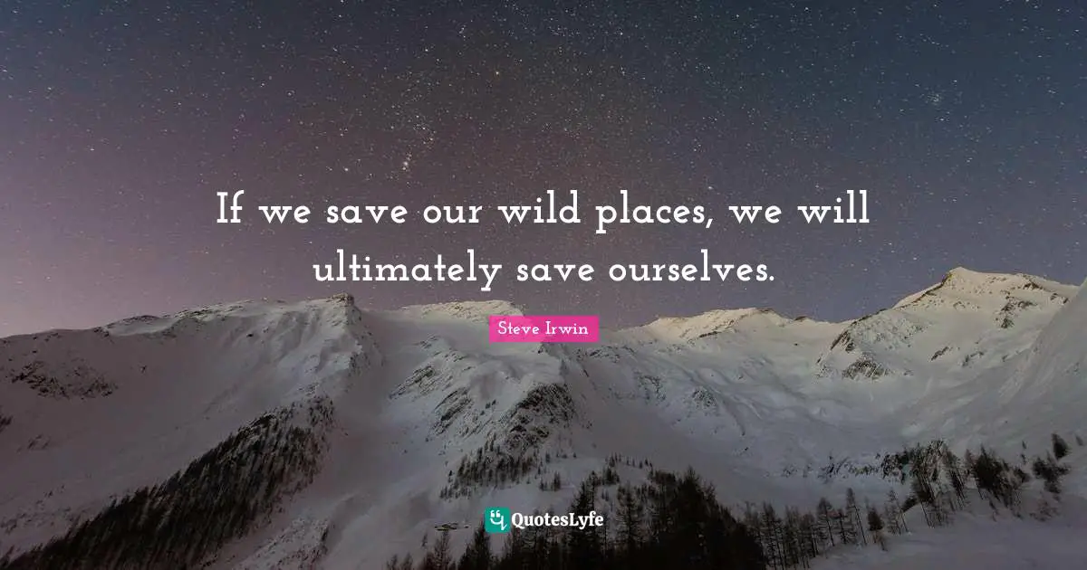 If we save our wild places, we will ultimately save ourselves.