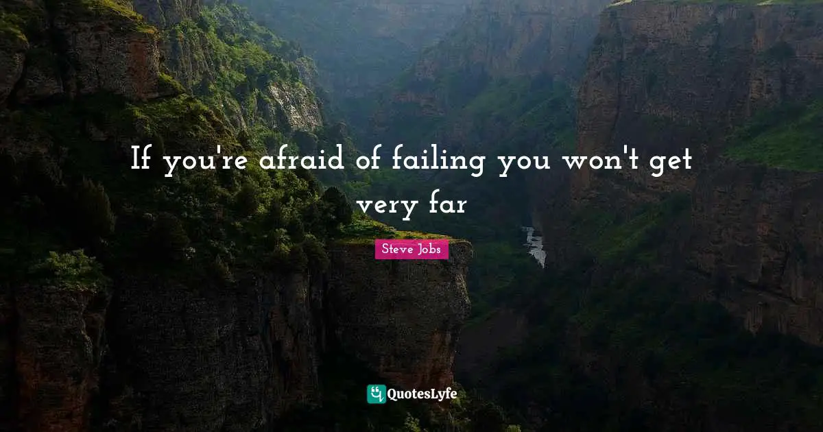 If you're afraid of failing you won't get very far