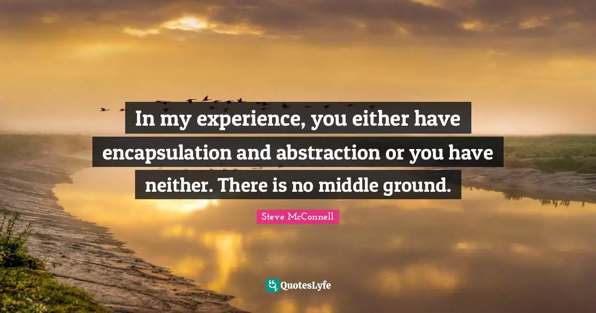 Abstraction Quotes: "In my experience, you either have encapsulation and abstraction or you have neither. There is no middle ground."