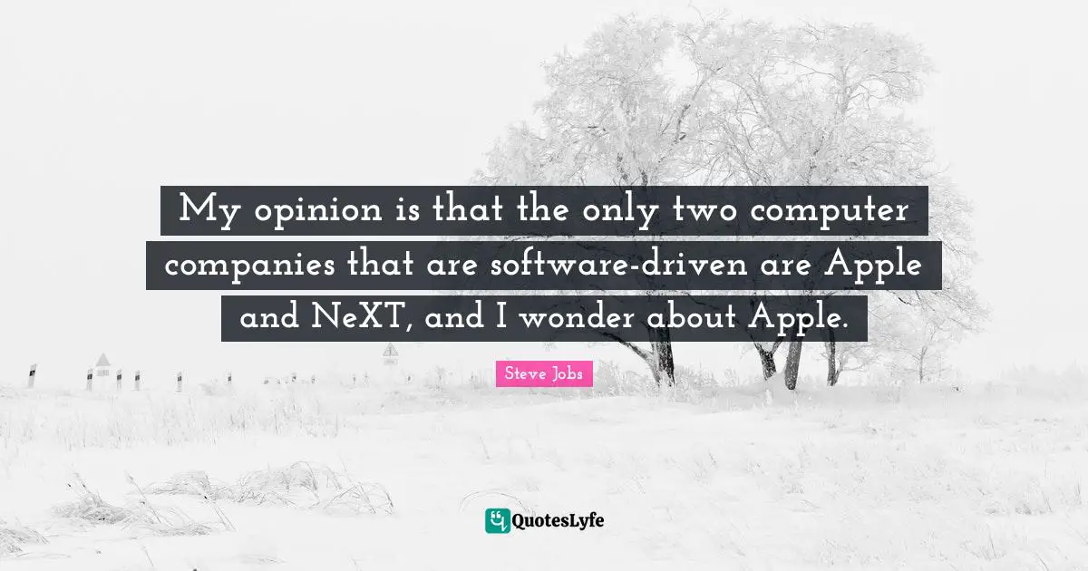 My opinion is that the only two computer companies that are software-driven are Apple and NeXT, and I wonder about Apple.