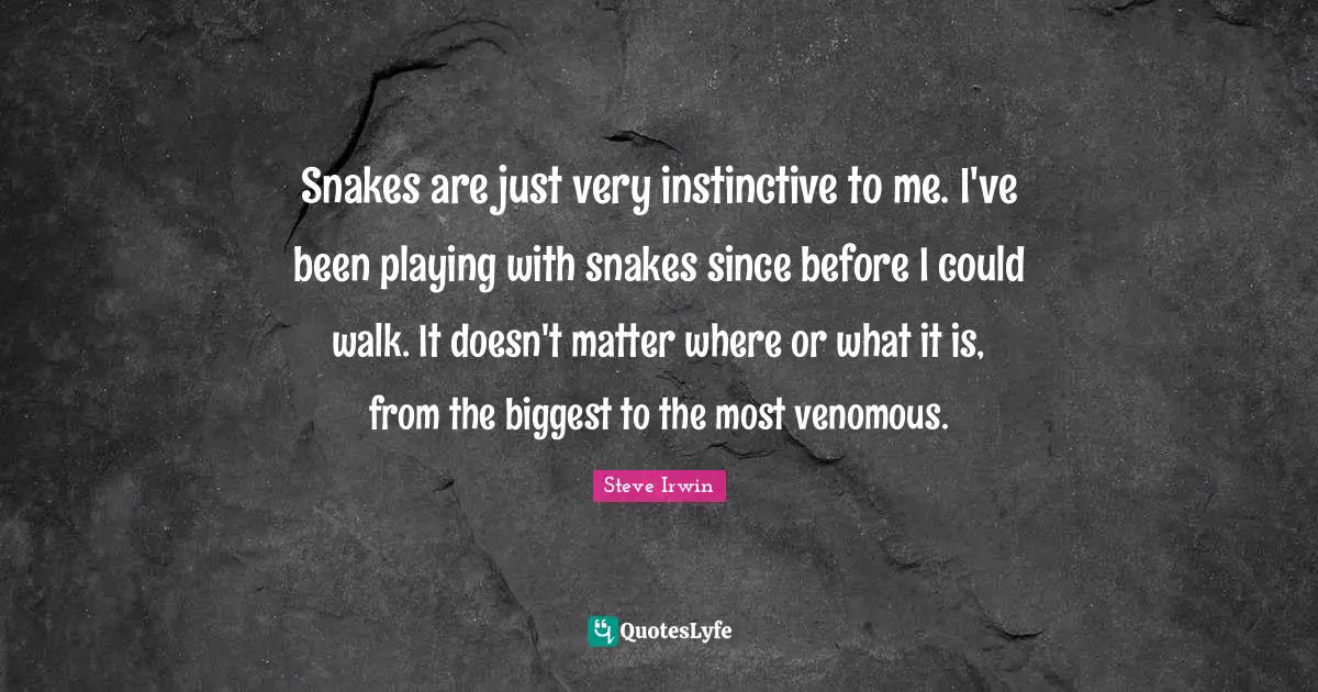 Snakes are just very instinctive to me. I've been playing with snakes since before I could walk. It doesn't matter where or what it is, from the biggest to the most venomous.