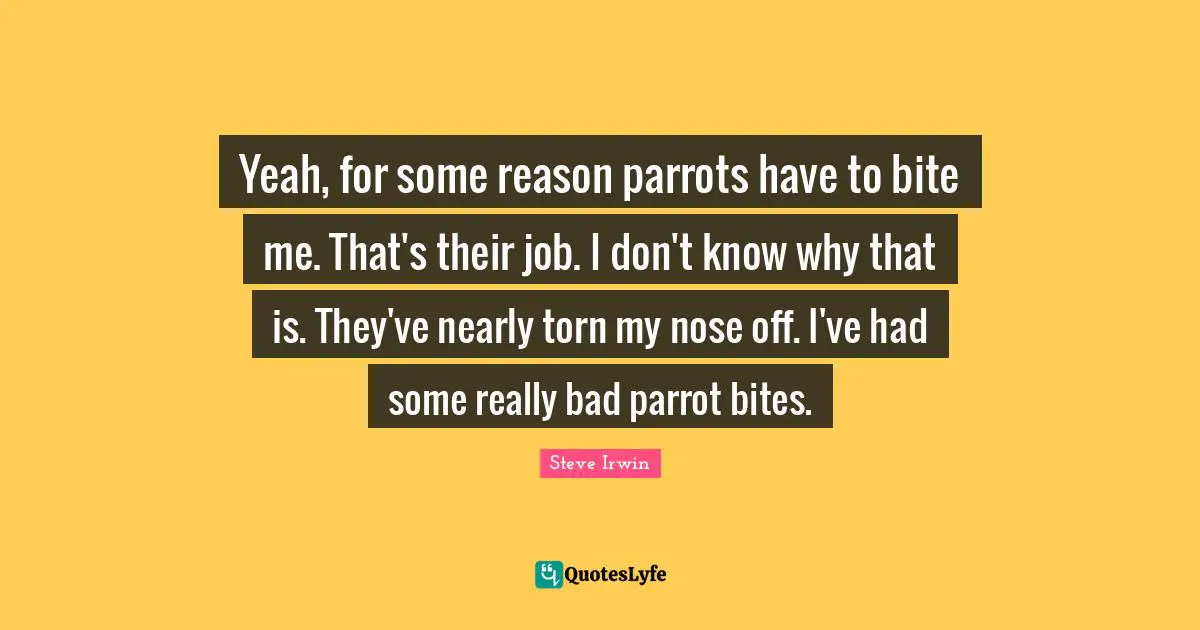 Parrots Quotes: "Yeah, for some reason parrots have to bite me. That's their job. I don't know why that is. They've nearly torn my nose off. I've had some really bad parrot bites."