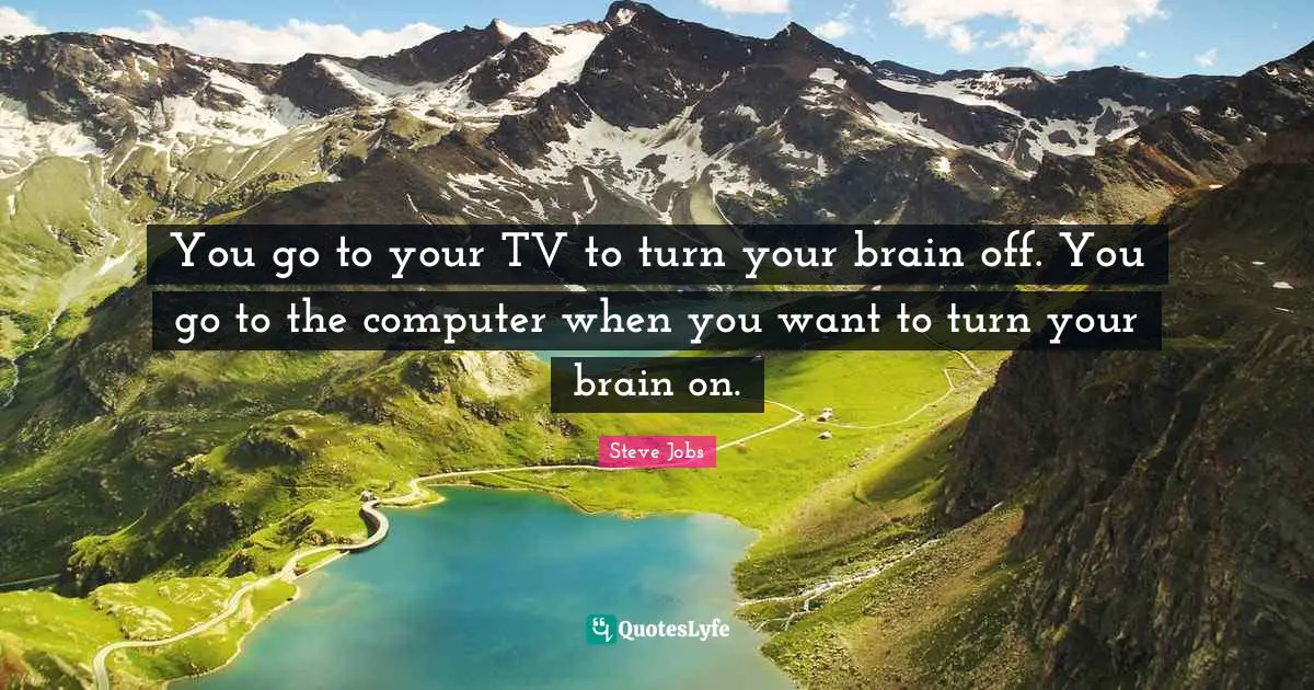 You go to your TV to turn your brain off. You go to the computer when you want to turn your brain on.