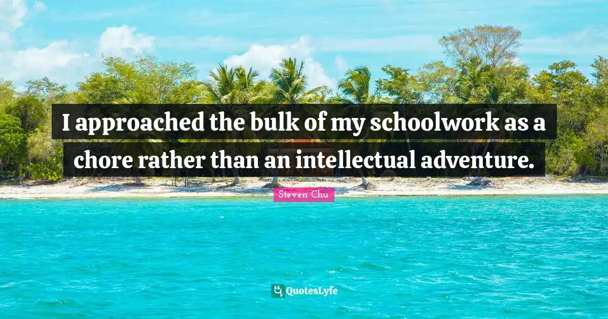 I approached the bulk of my schoolwork as a chore rather than an intellectual adventure.