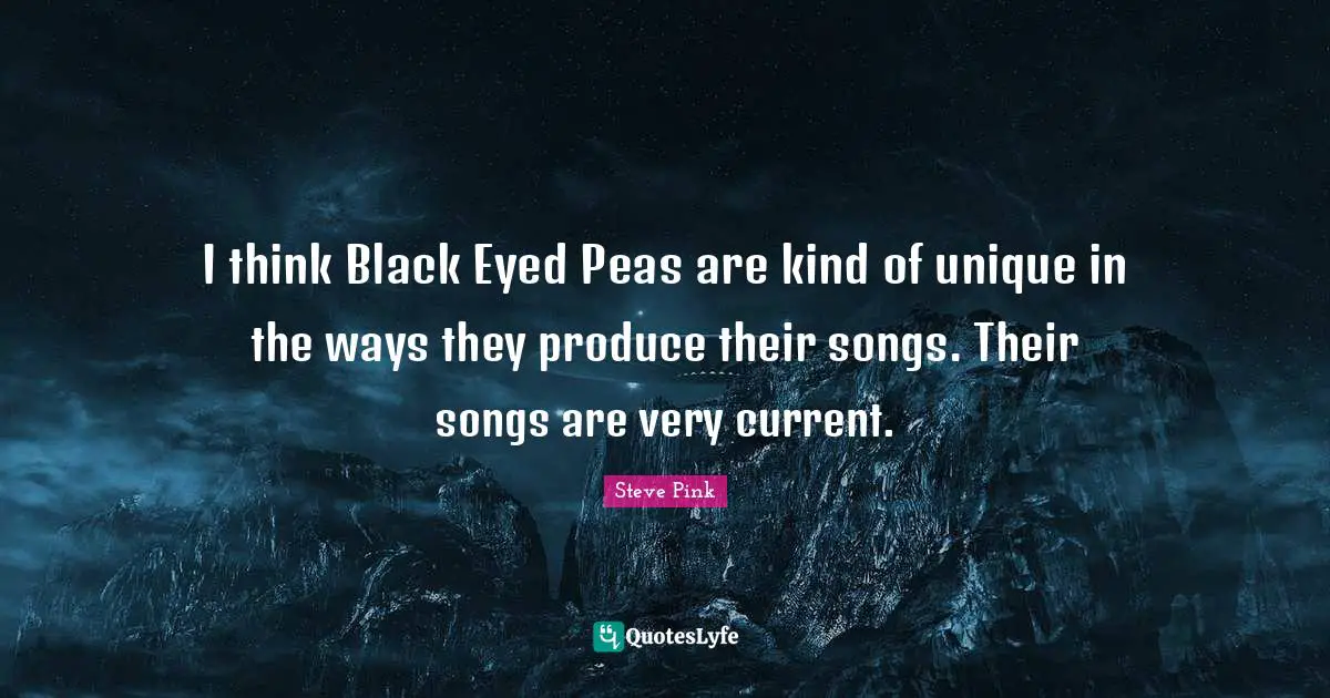 I think Black Eyed Peas are kind of unique in the ways they produce their songs. Their songs are very current.