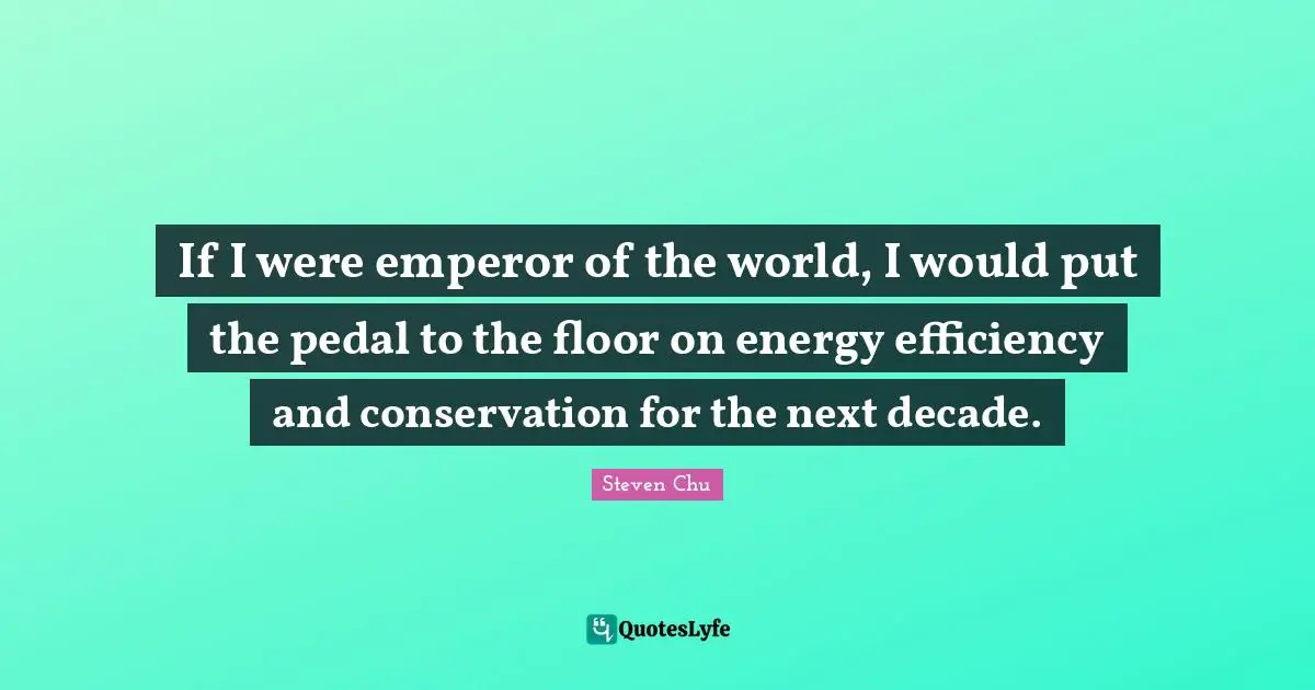 If I were emperor of the world, I would put the pedal to the floor on energy efficiency and conservation for the next decade.