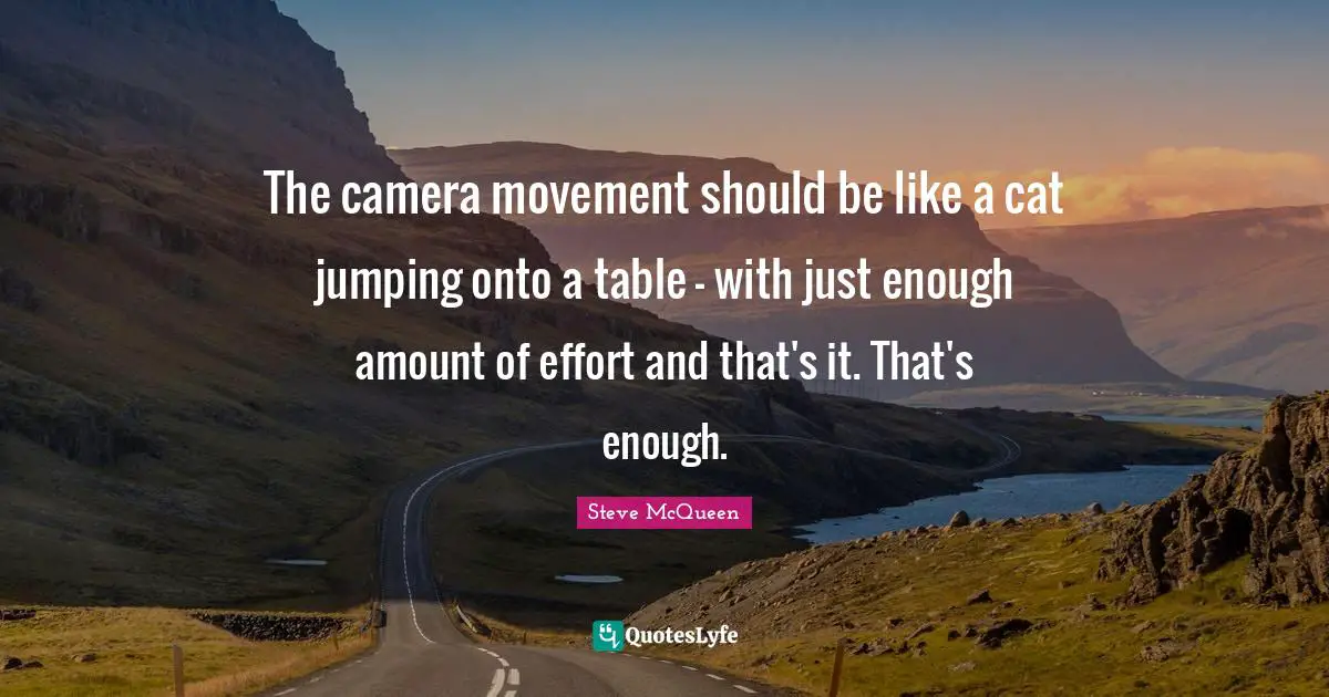The camera movement should be like a cat jumping onto a table - with just enough amount of effort and that's it. That's enough.