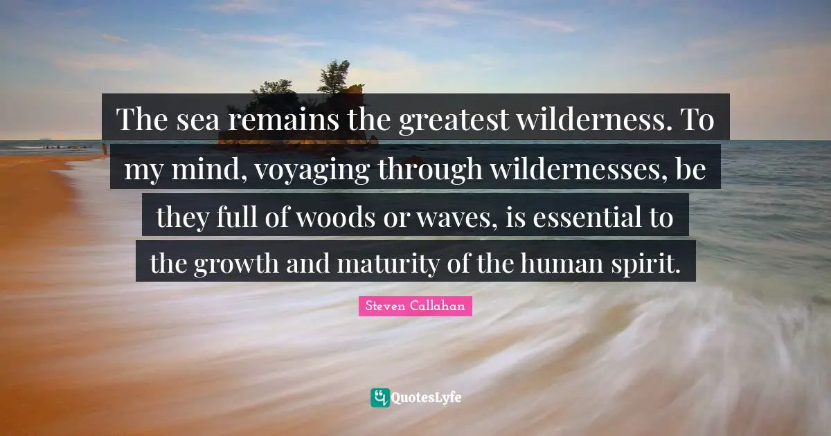 The sea remains the greatest wilderness. To my mind, voyaging through wildernesses, be they full of woods or waves, is essential to the growth and maturity of the human spirit.