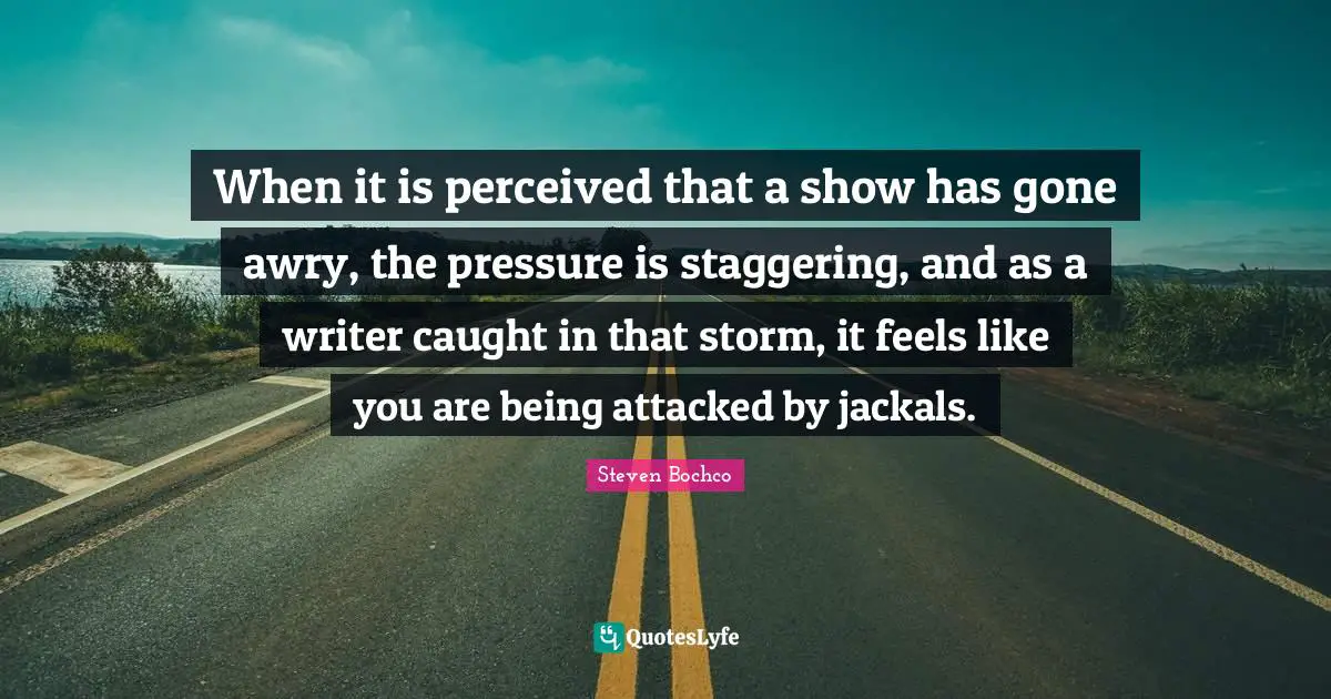 When it is perceived that a show has gone awry, the pressure is staggering, and as a writer caught in that storm, it feels like you are being attacked by jackals.