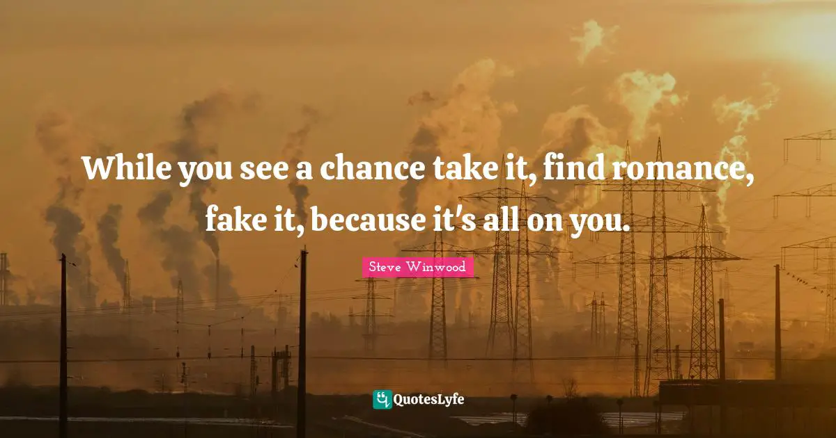 Steve Winwood Quotes: While you see a chance take it, find romance, fake it, because it's all on you.