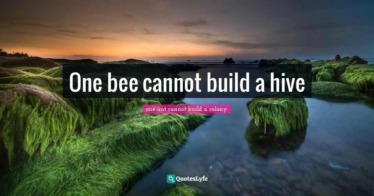One bee cannot build a hive