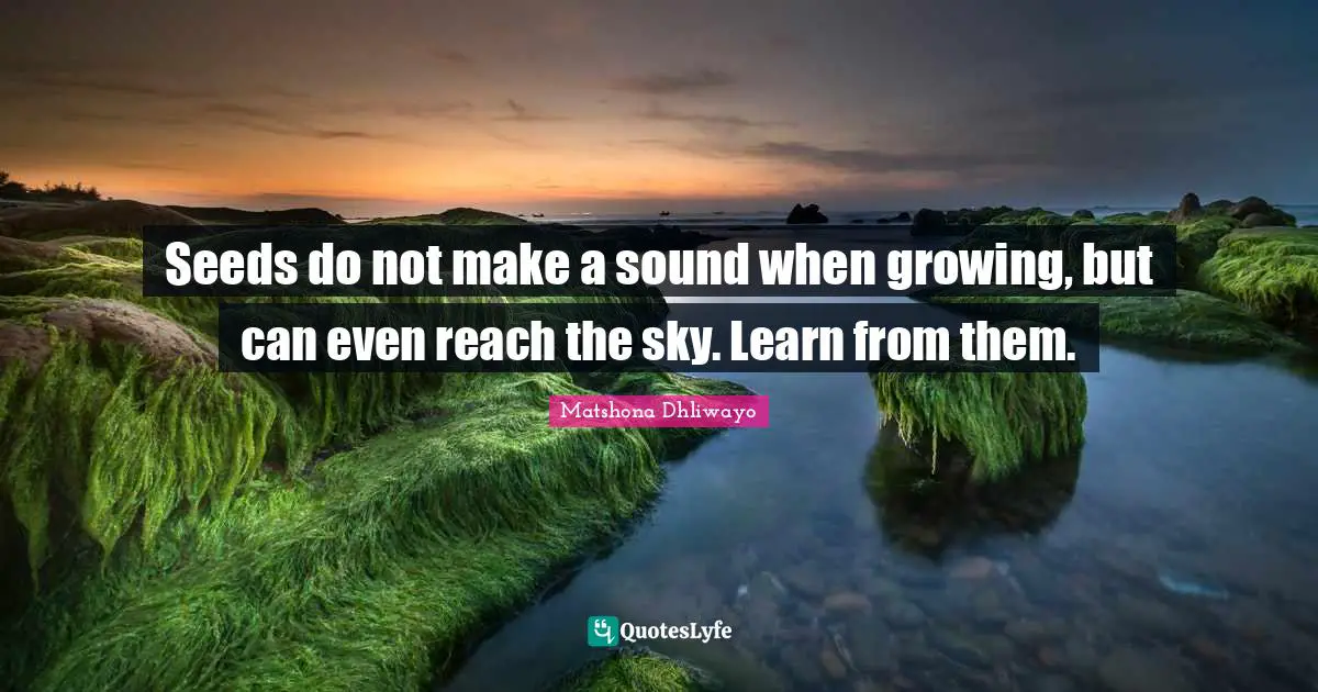 Seeds do not make a sound when growing, but can even reach the sky. Learn from them.