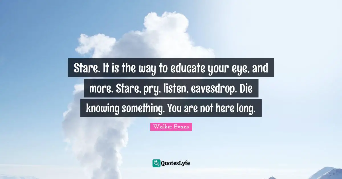 Stare. It is the way to educate your eye, and more. Stare, pry, listen, eavesdrop. Die knowing something. You are not here long.