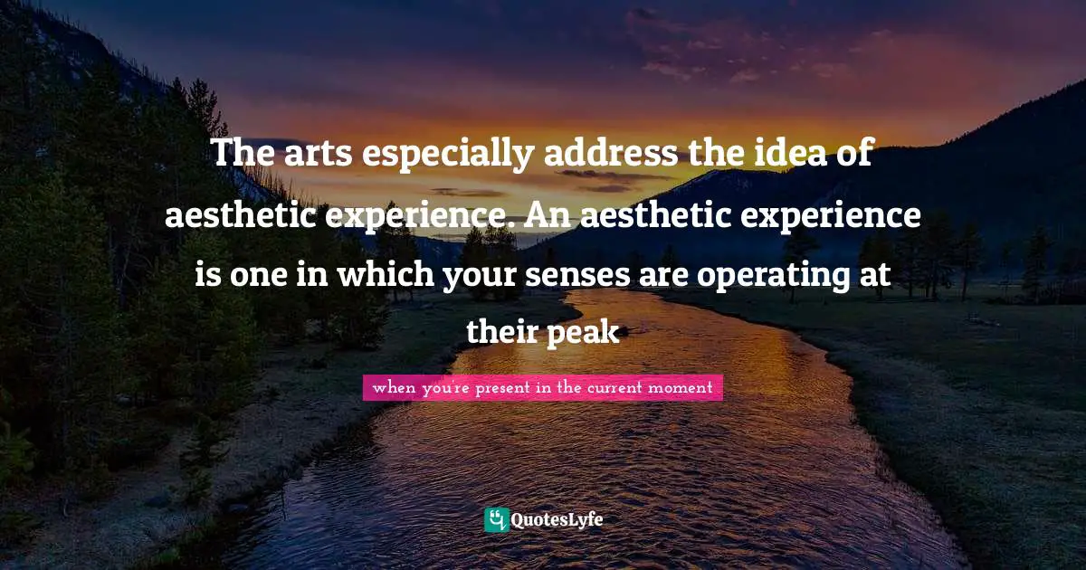 The arts especially address the idea of aesthetic experience. An aesthetic experience is one in which your senses are operating at their peak