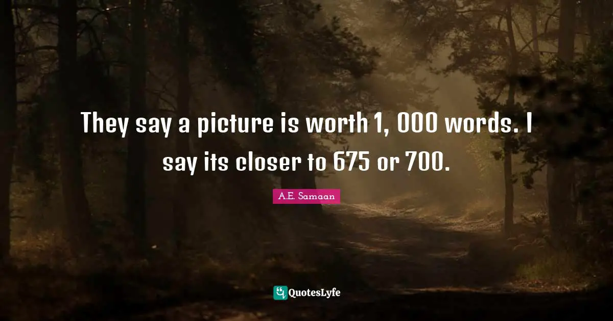 They say a picture is worth 1, 000 words. I say its closer to 675 or 700.
