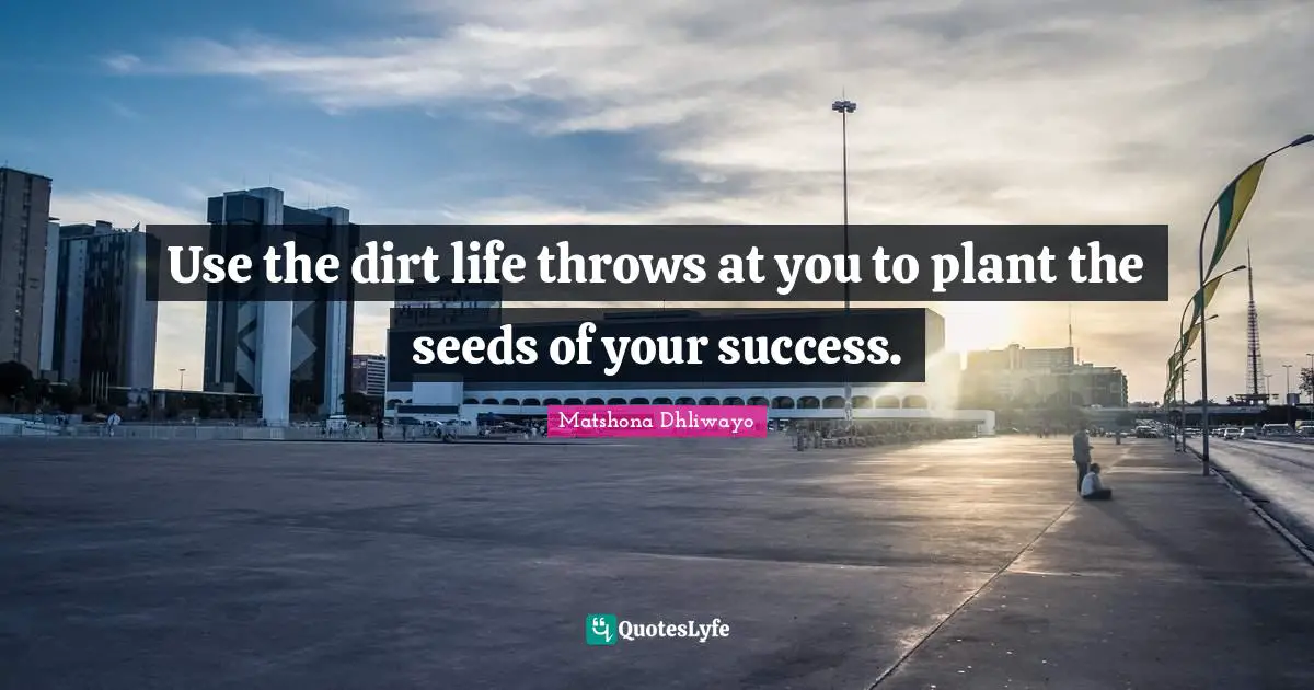 Use the dirt life throws at you to plant the seeds of your success.