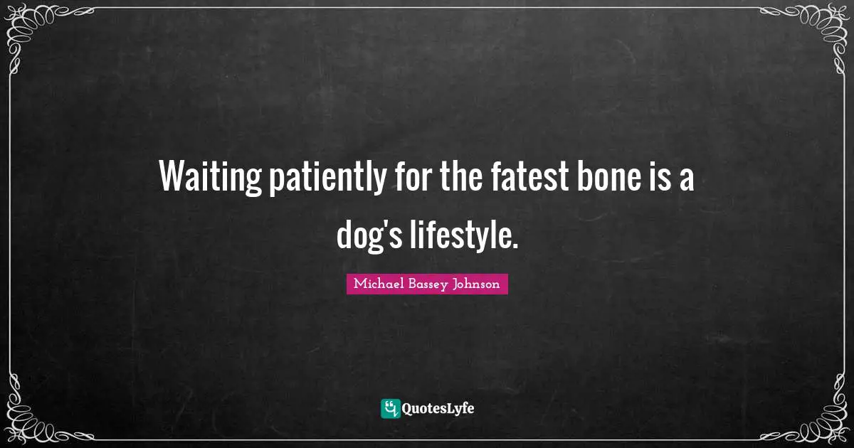 Expectation Quotes: "Waiting patiently for the fatest bone is a dog's lifestyle."