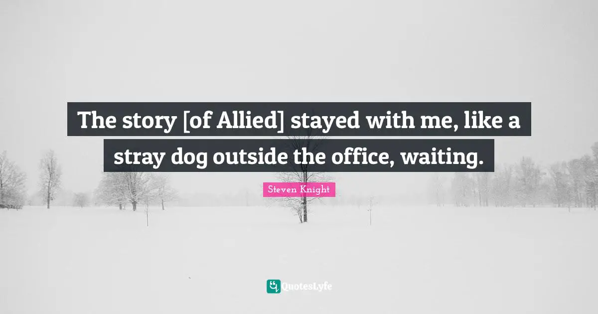 The story [of Allied] stayed with me, like a stray dog outside the office, waiting.
