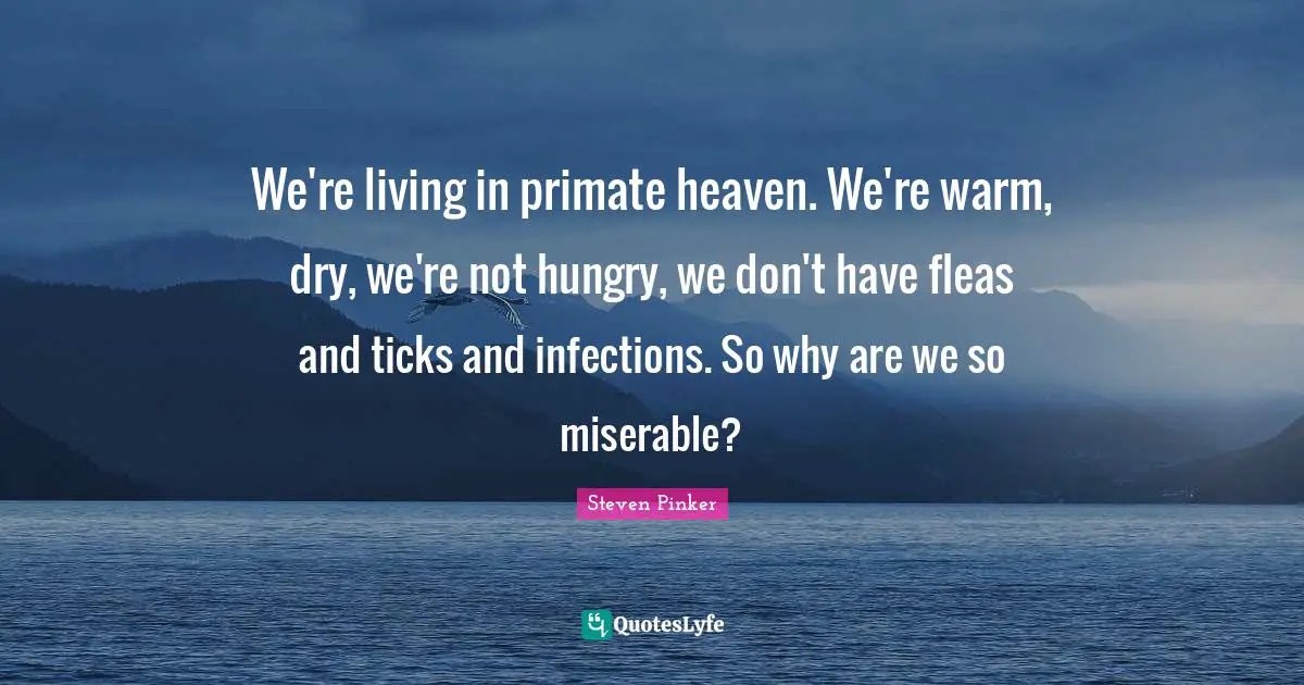 We're living in primate heaven. We're warm, dry, we're not hungry, we don't have fleas and ticks and infections. So why are we so miserable?