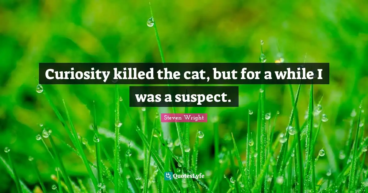 Cat Quotes: "Curiosity killed the cat, but for a while I was a suspect."