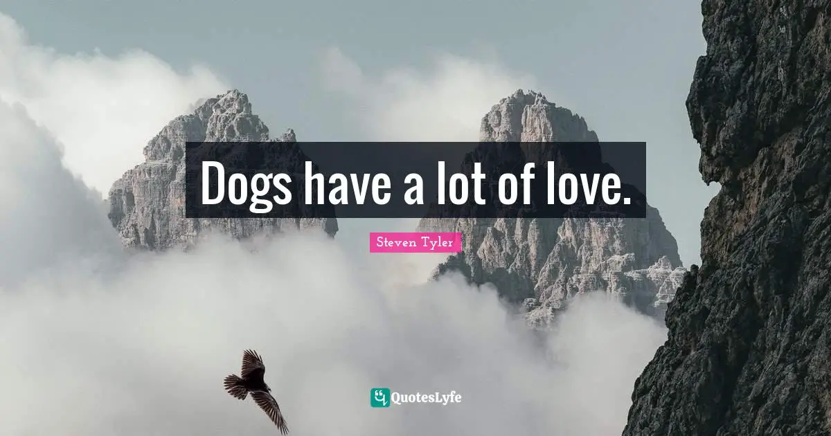 Dogs have a lot of love.