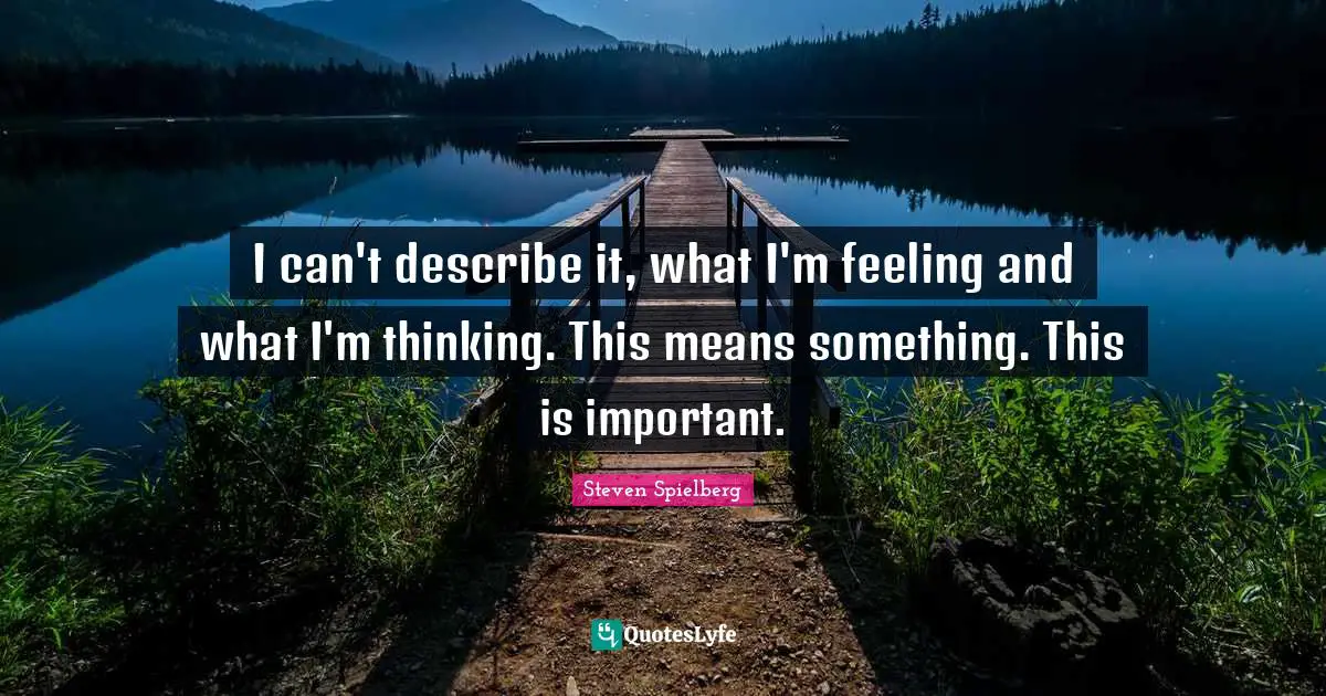 I can't describe it, what I'm feeling and what I'm thinking. This means something. This is important.