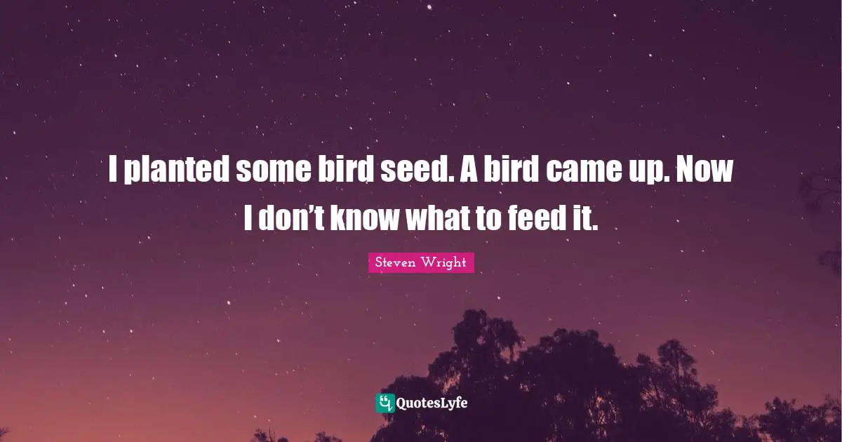 I planted some bird seed. A bird came up. Now I don’t know what to feed it.