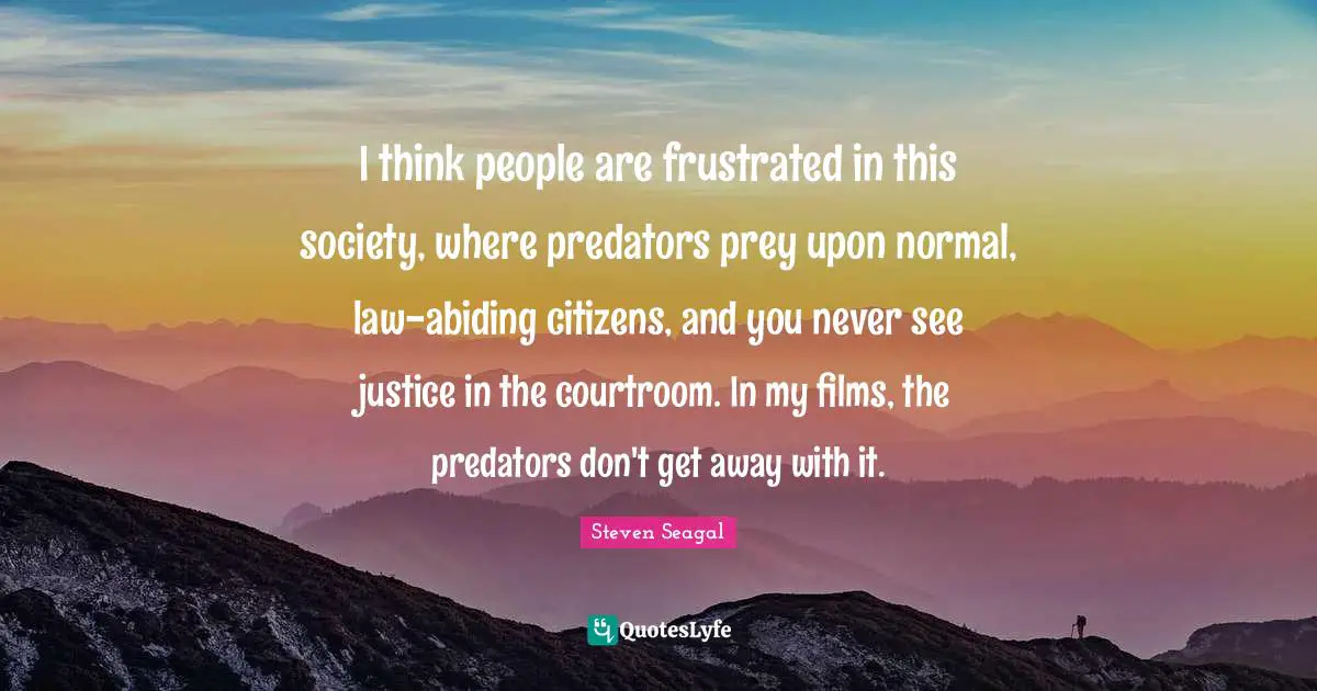 I think people are frustrated in this society, where predators prey upon normal, law-abiding citizens, and you never see justice in the courtroom. In my films, the predators don't get away with it.