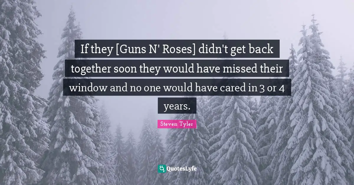 If they [Guns N' Roses] didn't get back together soon they would have missed their window and no one would have cared in 3 or 4 years.