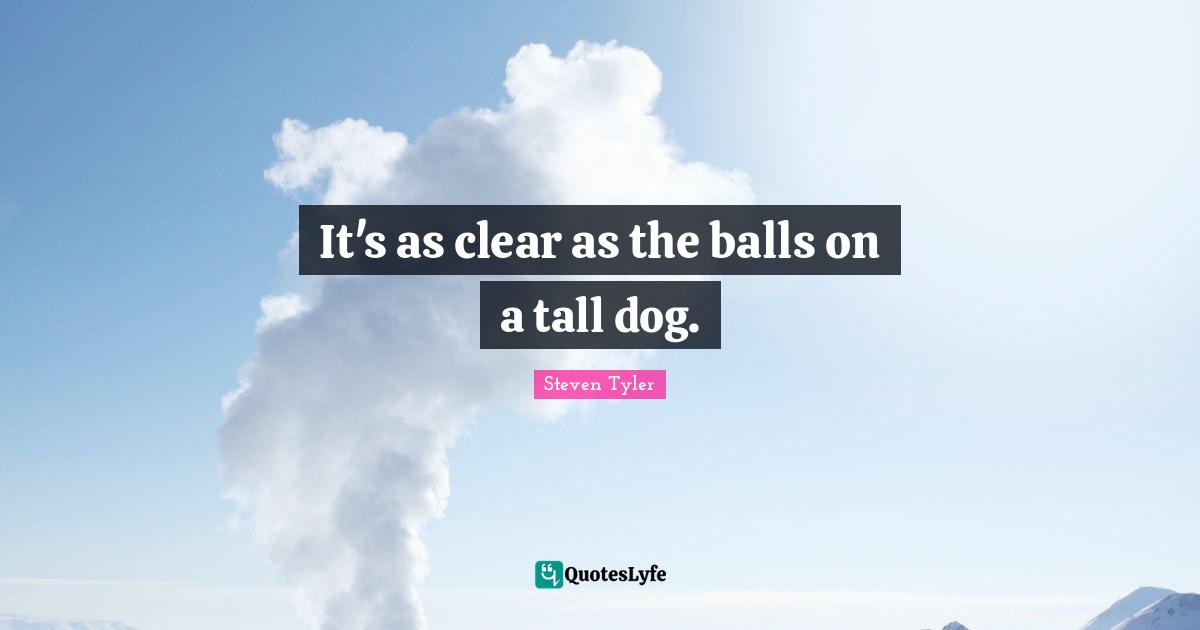 It's as clear as the balls on a tall dog.