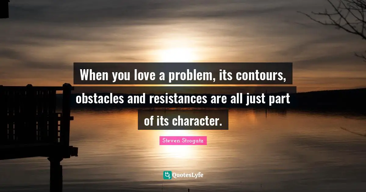 When you love a problem, its contours, obstacles and resistances are all just part of its character.
