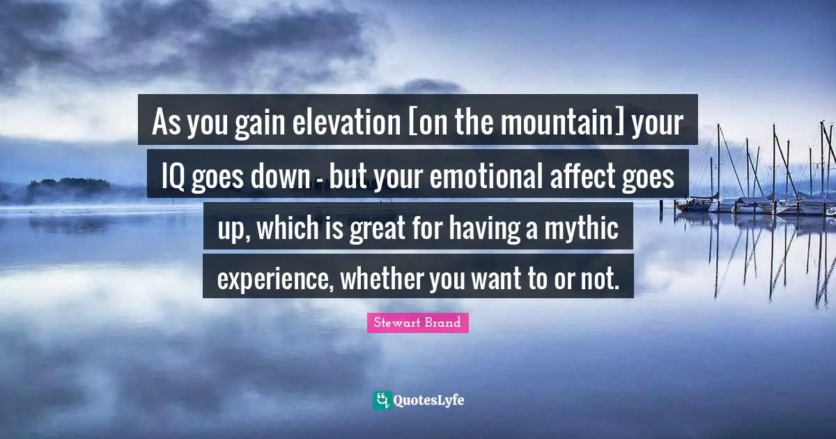 As you gain elevation [on the mountain] your IQ goes down - but your emotional affect goes up, which is great for having a mythic experience, whether you want to or not.